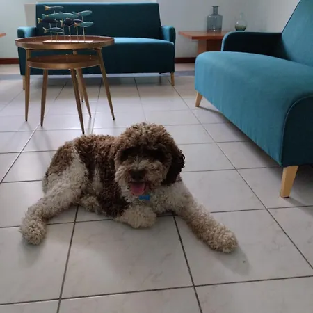 Casa Per Ferie Il Pioppo *