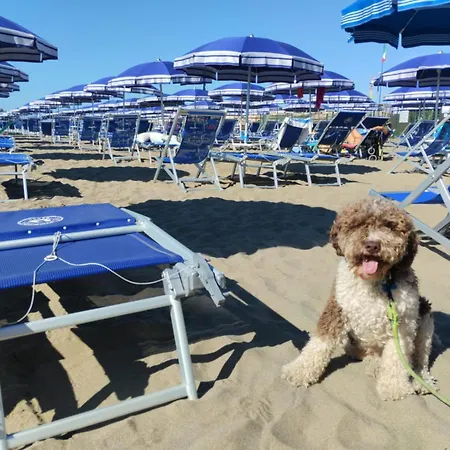 Отель Casa Per Ferie Il Pioppo